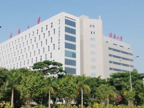 武汉大学